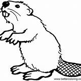 Black And White Beaver Coloring Pages sketch template
