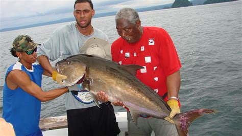 Almaco Jack - Marlin Panama - Isla Coiba, Panama