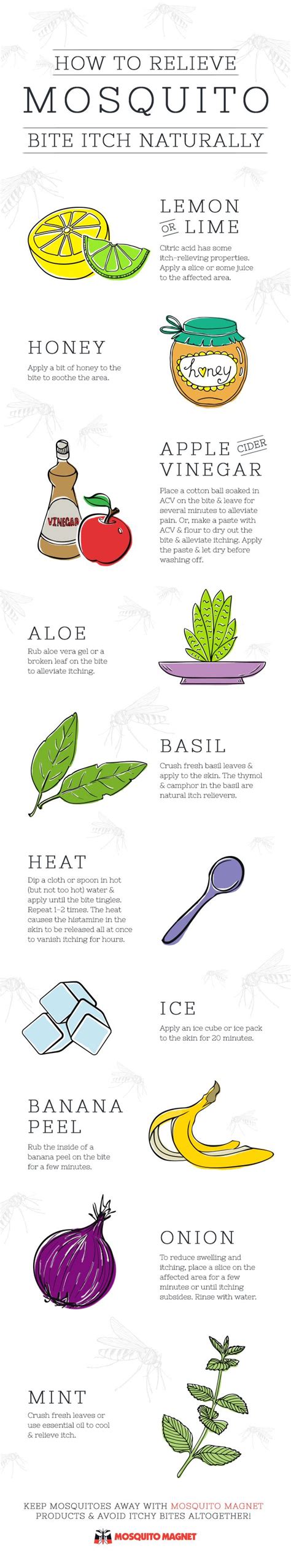 10 Natural Remedies for Mosquito Bites - Infographic Remedies For Mosquito Bites, Bug Bites ...