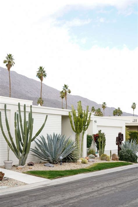 ENJOY THE PALM LIFE - USAPALM.COM | Palm springs architecture, Palm ...