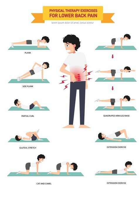 Physical therapy exercises for lower back pain infographic 3239831 ...