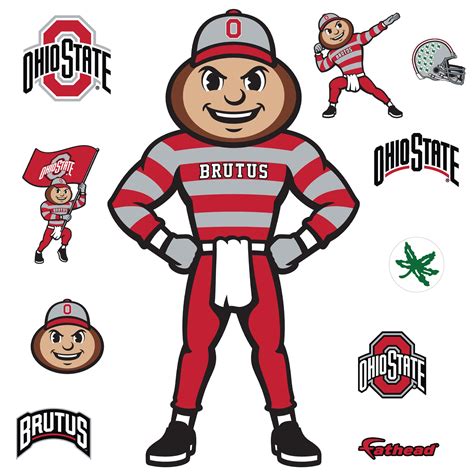 Brutus Buckeye Head