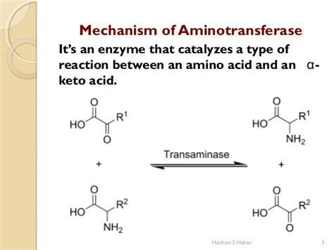 ELEVATED SERUM AMINOTRANSFERASES