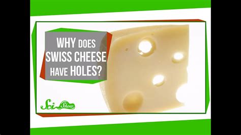 Why Does Swiss Cheese Have Holes? - YouTube