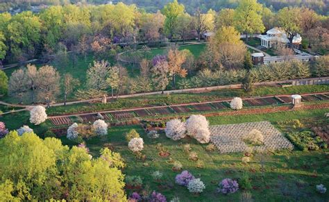 Revisiting Monticello’s History—VIRGINIA Magazine