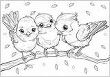 Three Little birds On A Thin Branch With Falling Leaves  Bird sketch template