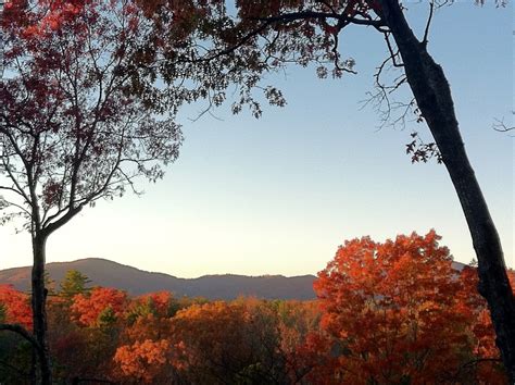 Fall Color in Asheville - NCLine Adventures