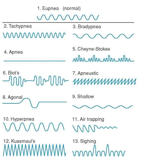 Breathing patterns | Emt study, Nurse study notes, Respiratory therapy