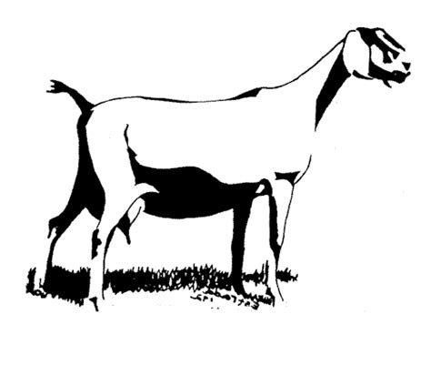 Dairy Goat Head Silhouette