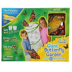 Insect Lore The Very Hungry Caterpillar™ Butterfly Growing Kit