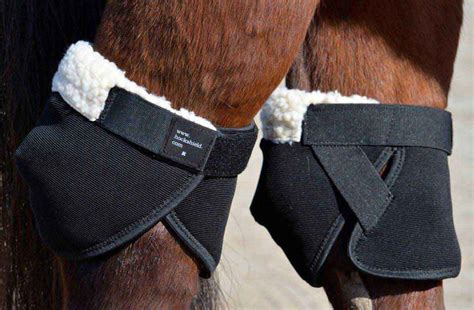 Hock Shield Ultra Horse Hock Protectors | Valley Vet Click Horse Products - Support Boots | Boots Wr