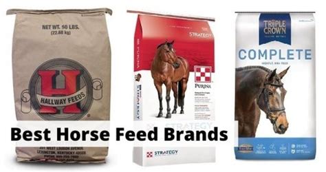 7 Best Horse Feed Brands for Horse Owners (2021)