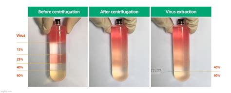 Is Purification of a “Virus” Necessary? Yes. – ViroLIEgy