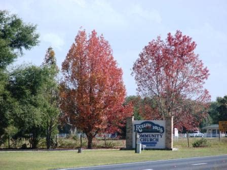 Earth Shattering Gardening: Florida Fall Foliage