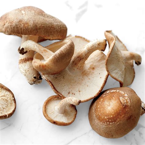 Shiitake Mushrooms, Here's Everything You Need to Know | Martha Stewart