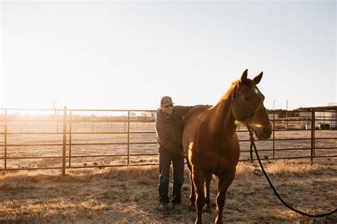 Symptoms and Causes (and More) of EPM in Horses – Silver Lining Herbs