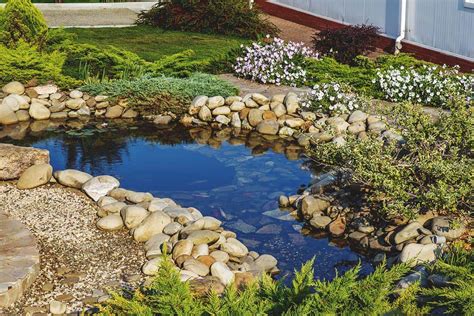 100 Backyard Pond Ideas to Inspire Your Garden Transformation