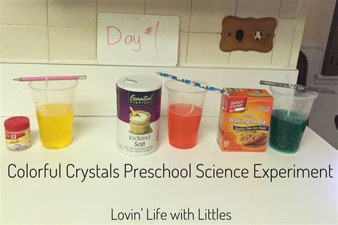 Colorful Crystals Science Experiment • Lovin' Life with Littles