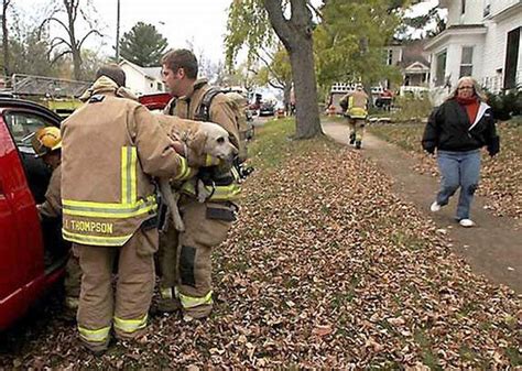 Firefighters Save Lifeless Dog By Performing Mouth-To-Snout Resuscitation After Being Pulled ...