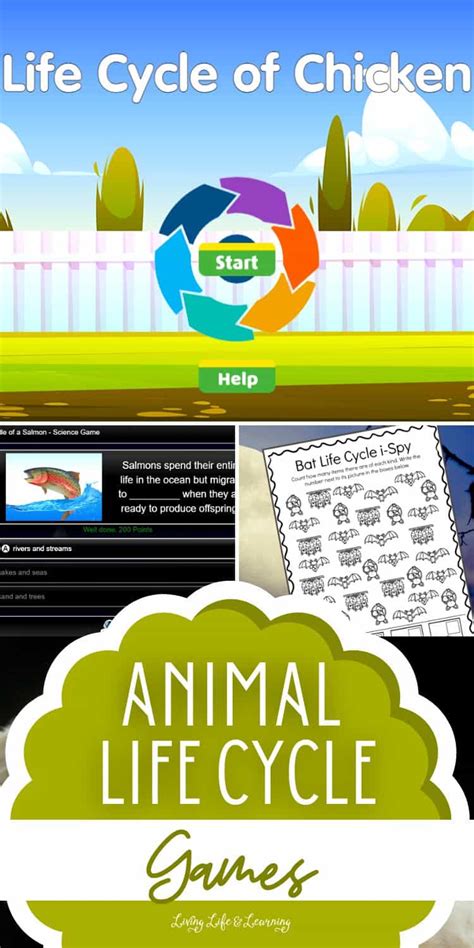 Animal Life Cycle Games