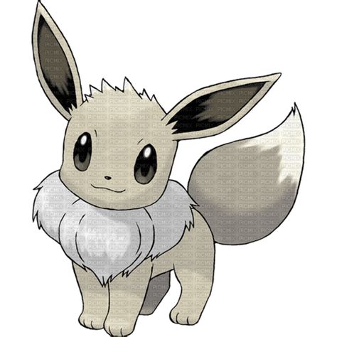 Shiny Eevee, eevee , shiny , pokemon , eeveelution , white , evoi ...