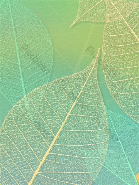 Leaf Texture Texture Background | PSD Backgrounds Free Download - Pikbest