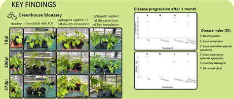 r - Statistical analysis of a bioassay - Cross Validated