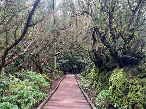 Anaga Rural Park, Tenerife: Your Ultimate Guide