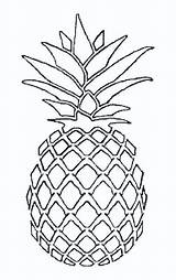 Pineapple Printable Coloring Page sketch template