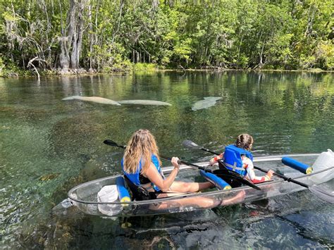 Silver Springs Kayaking Tours & Rentals, Manatee Clear Kayak Tours