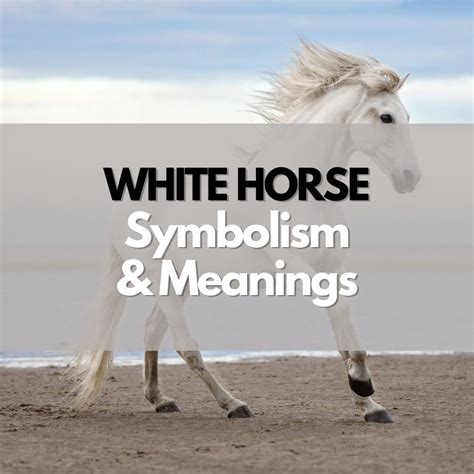 What Does a White Horse Symbolize? - Symbol Genie