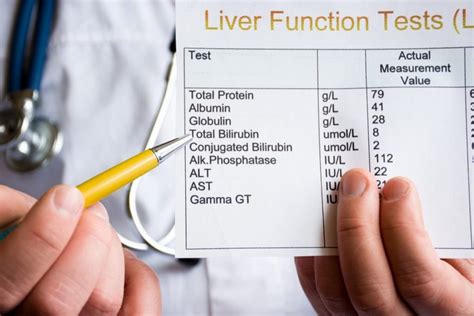 What Do High and Low Bilirubin Levels Mean? - Facty Health