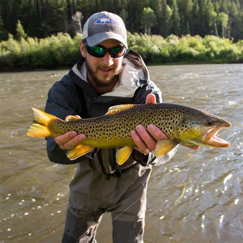 Wyoming Backcountry fly fishing trips | World Angling