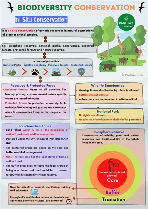 Biodiversity - Definition and Examples - Biology Online Dictionary