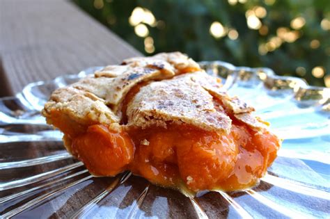 My Delicious Vegan Diary: Apricot Pie