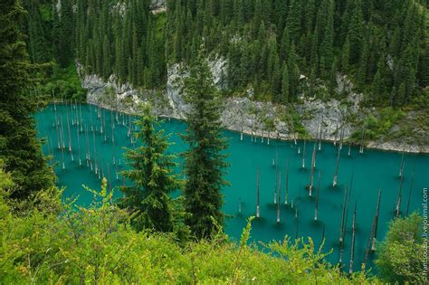 Sunken Forest – Kaindy Lake · Kazakhstan travel and tourism blog