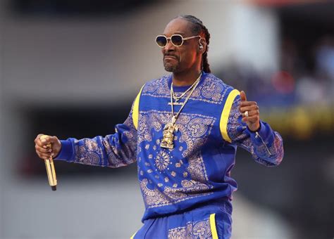 The NFL Asked Snoop Dogg Not to Show His Affiliation During The Super ...