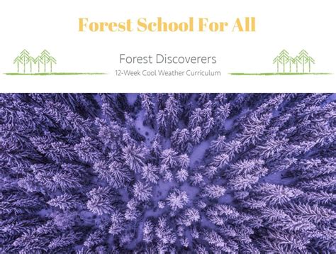 Curriculum - Forest School For All | Forest school, Curriculum, School