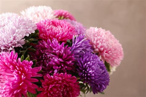 Beautiful Aster Flower Bouquet Stock Image - Image of holiday, color ...