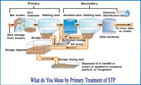 What Is Primary Water Treatment In 2024 Guide - Etch2o Water Treatment