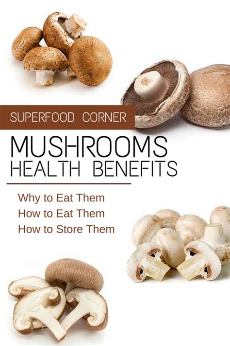 The Health Benefits of Mushrooms - Simple Roots