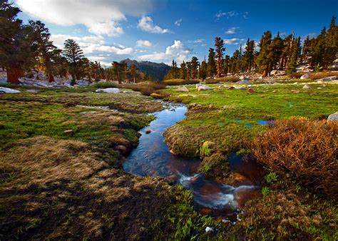 Meadow Sunrise | Flickr - Photo Sharing!