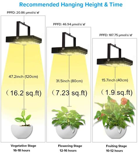 How to Grow Beautiful Plants with SANSI LED Grow Lights! # ...