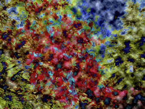 Coral Abstract Digital Art by Elizabeth Tillar - Fine Art America