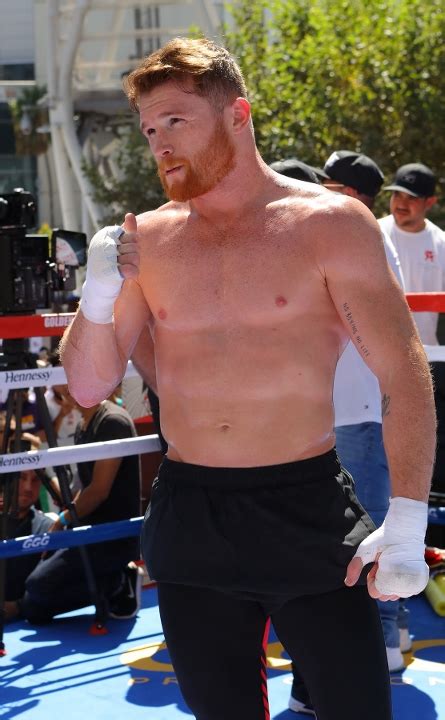 Photos: Canelo Alvarez in Top Form, Training For Golovkin - Boxing News