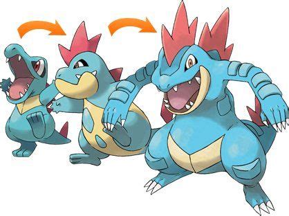 Totodile Evolution. Totodile, Crocknaw, and Feraligator. | Pokemon teams, Pokemon, Pokemon starters