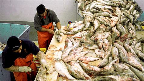 COVID-19 Outbreak In Pacific Northwest Seafood Industry As Season Ramps Up | KTEP