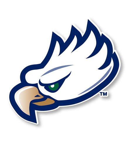 Florida Gulf Coast Eagles 4 Inch Vinyl Mascot Decal Sticker - Walmart ...