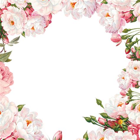 Floral frame PNG
