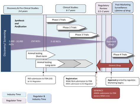 Drug Development Process Overview